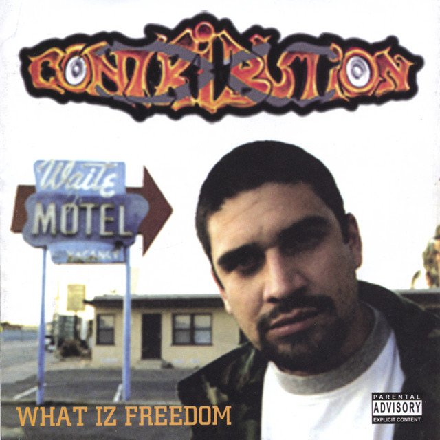 WHAT IZ FREEDOM&FREE POSTER cover