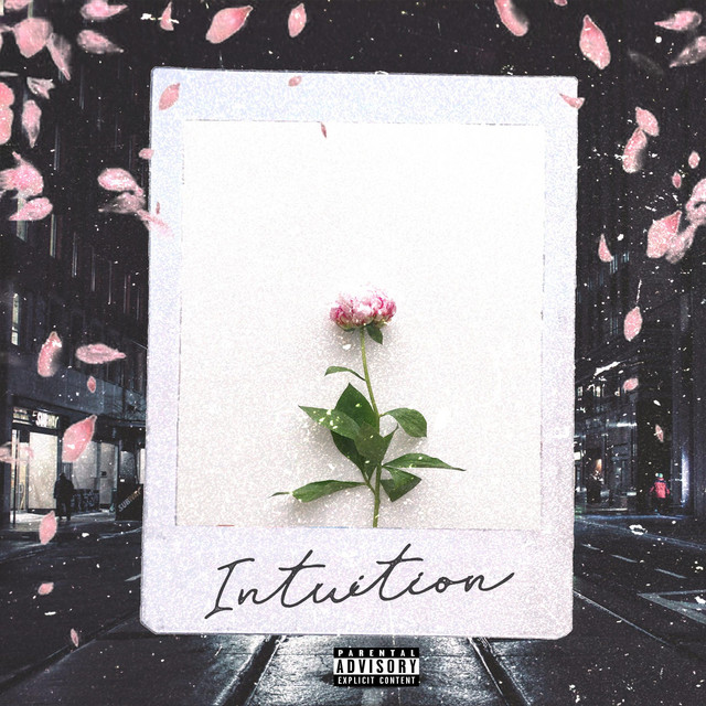 Intuition cover art