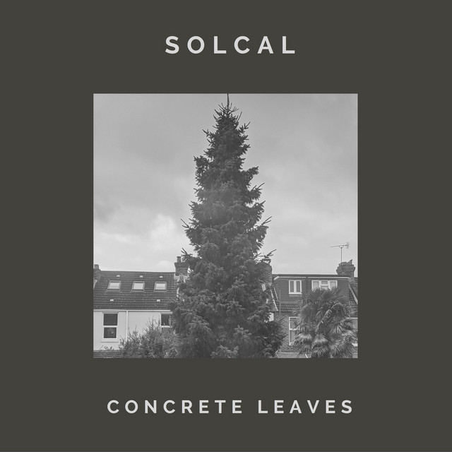 Concrete Leaves cover