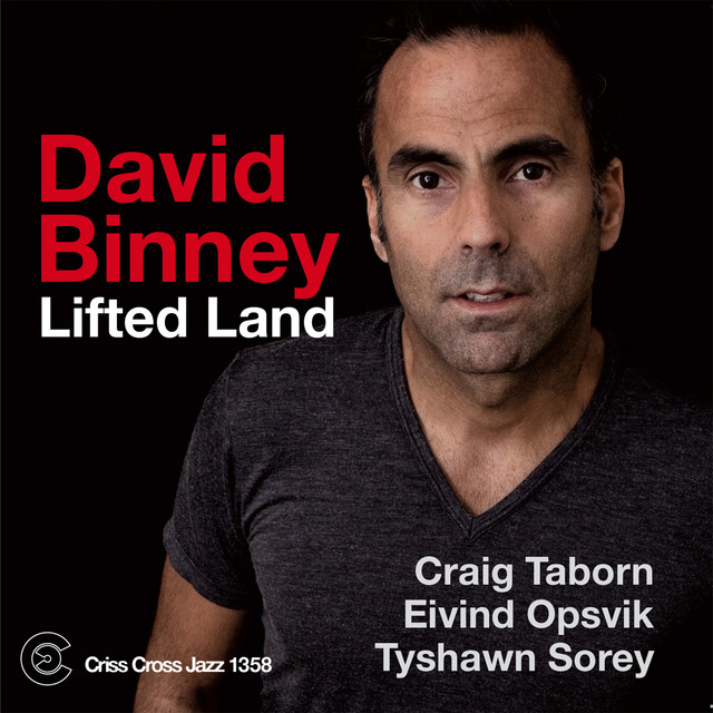 Lifted Land cover art