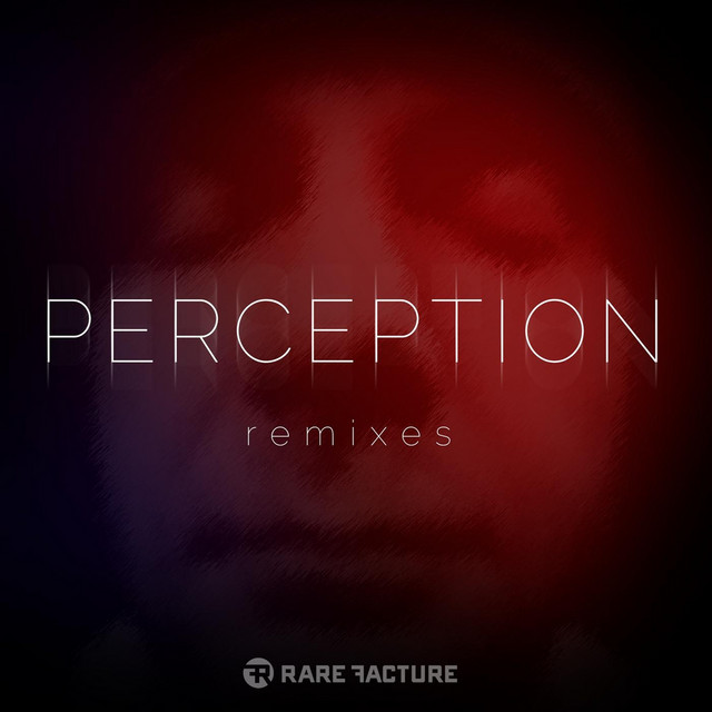 Perception (Remixes) cover