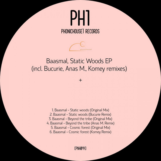 Static Woods EP (incl. Bucurie, Anas M. , Komey remixes) cover