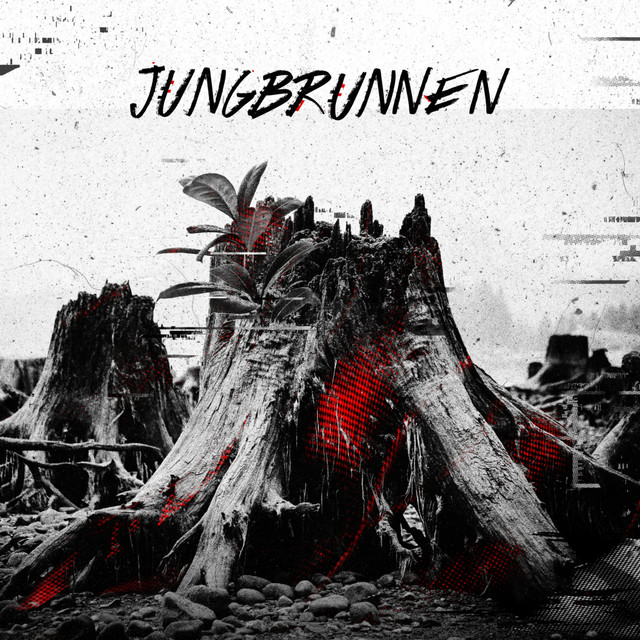 Jungbrunnen cover