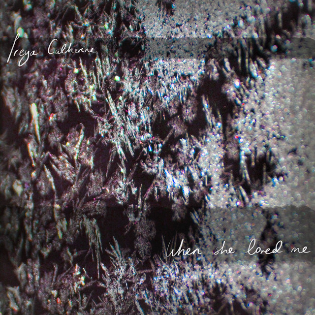 When She Loved Me cover