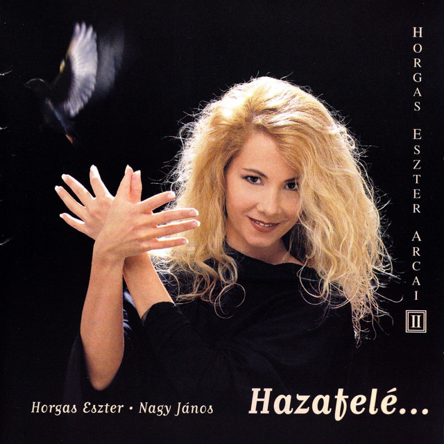 Arcai, Vol. 2 - Hazafelé cover art
