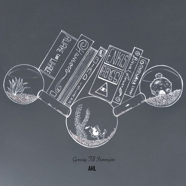 Genväg till Stormsjön cover art