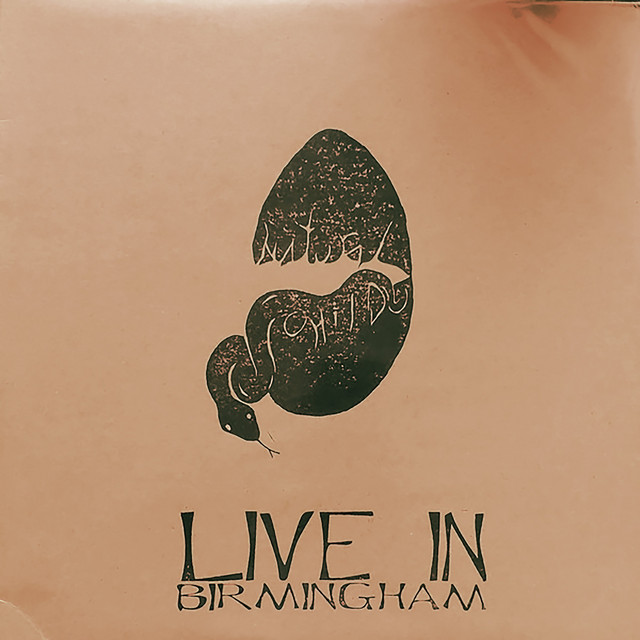 Live in Birmingham 5/17/2013 cover art