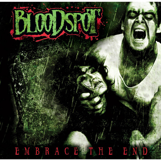 Embrace The End cover