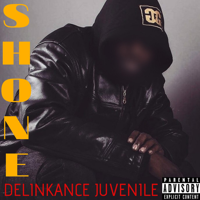 Délinkance juvénile cover art