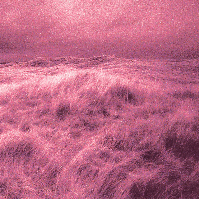 Sea Change cover art