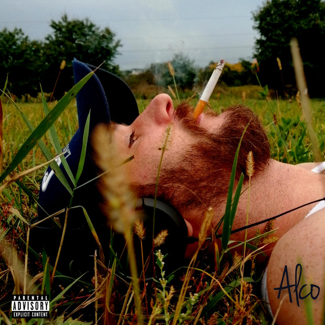 V kůži cover art