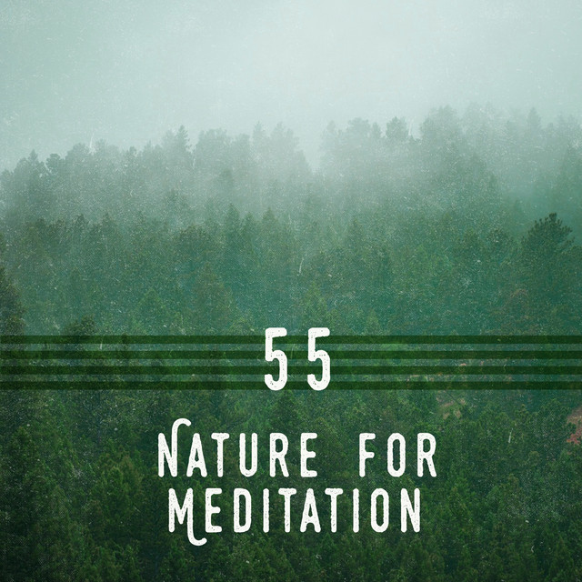 55 Nature for Meditation - Album by Sleep Sounds of Nature | Spotify