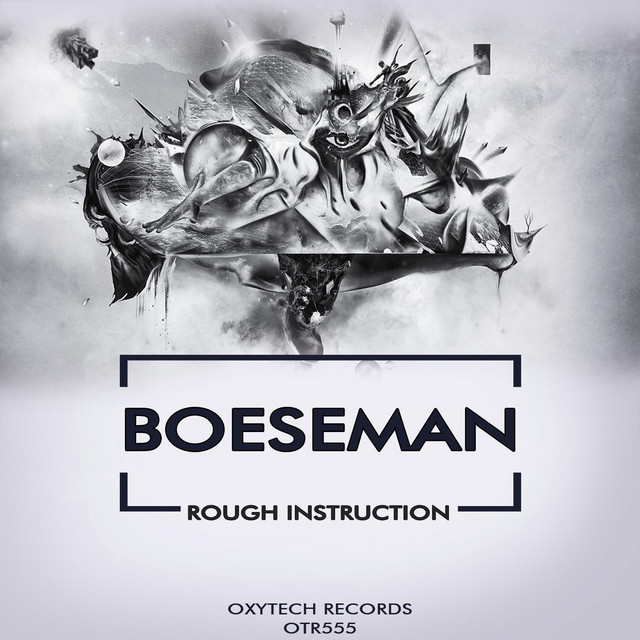 Rough Instruction cover art