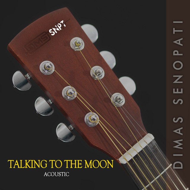 Talking to the Moon - Acoustic