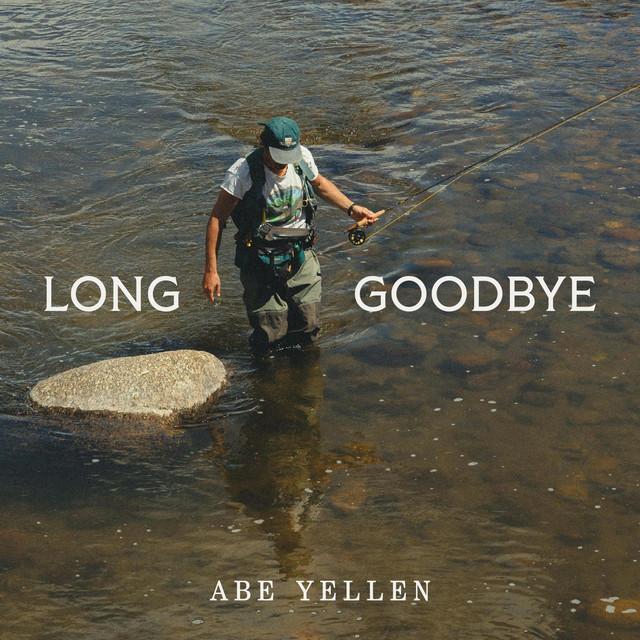 Long Goodbye cover art