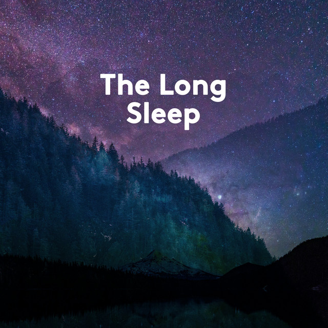 The Long Sleep cover art