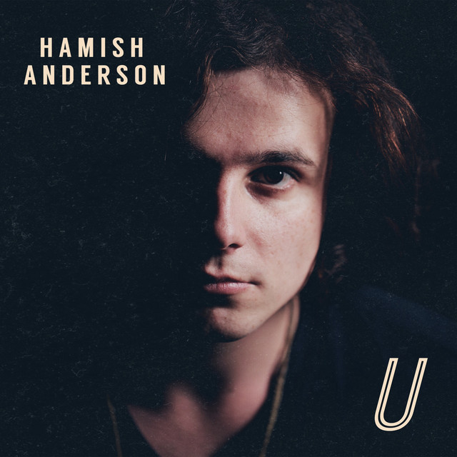 U - Radio Edit - Hamish Anderson