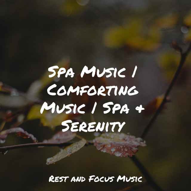 Keeping It Calm - song and lyrics by Bath Spa Relaxing Music Zone ...