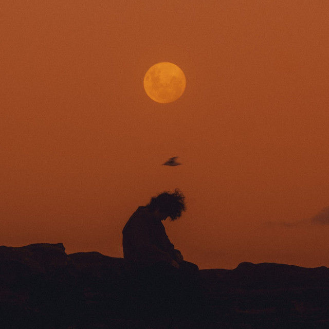 MOON cover art