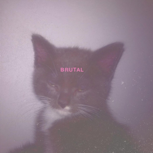 Brutal cover art