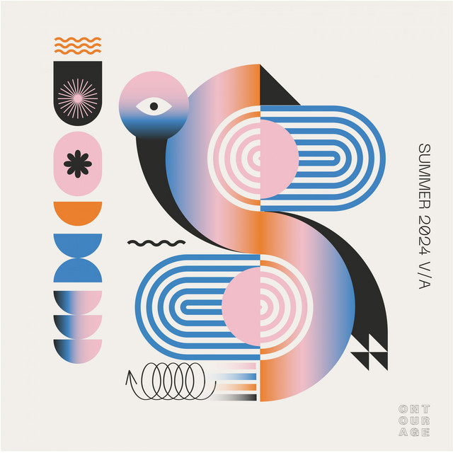 No Wings To Fly album art