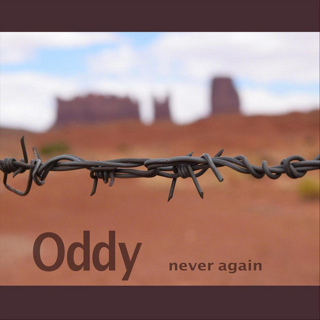 Never Again - Single by Oddy | Spotify