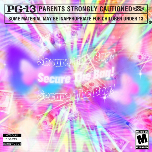 Secure the Bag! cover art