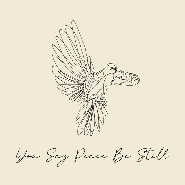 You Say Peace Be Still - Live