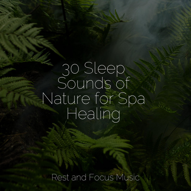 30 Sleep Sounds of Nature for Spa Healing - Album by Music For Absolute ...