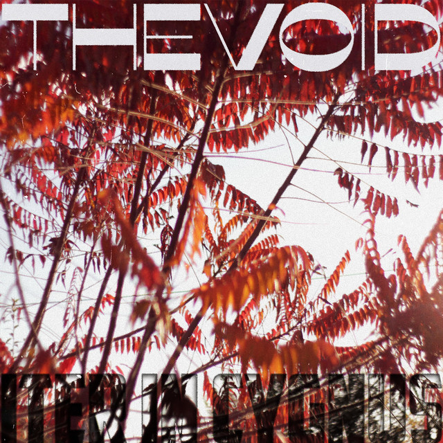 The Void (single)