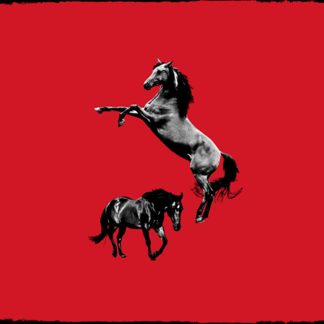 Dark Horse 2 cover