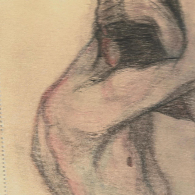 ribcage cover art