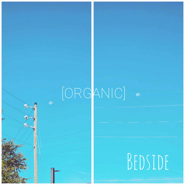 ORGANIC cover art