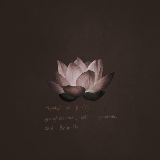 Black Lotus cover art