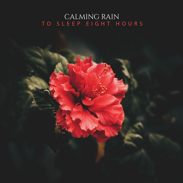 Hushed Tides, Endless Sky cover art
