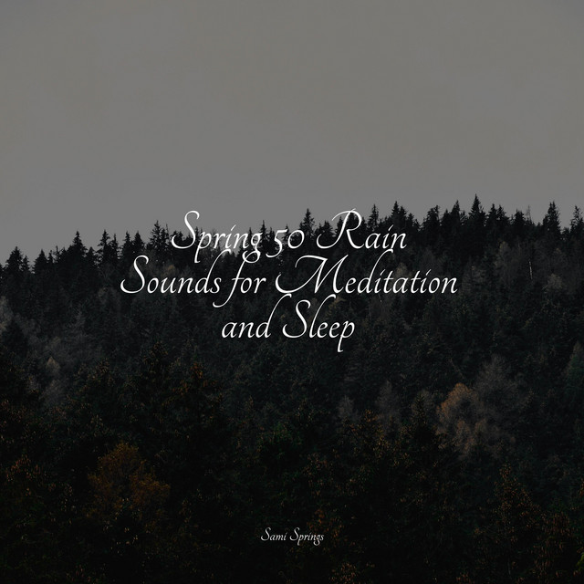 Spring 50 Rain Sounds for Meditation and Sleep - Album by Sampling XL ...