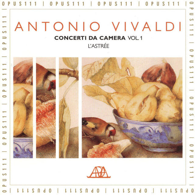 Chamber Concerto in G Minor, RV 107: I. Allegro