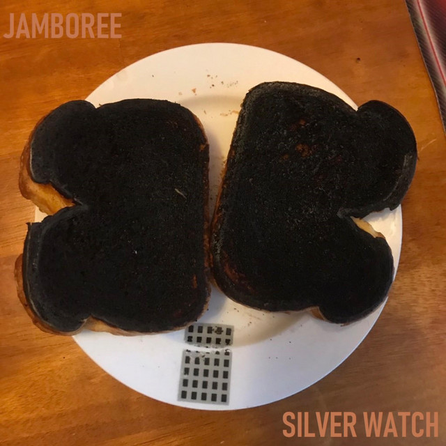 Silver Watch cover
