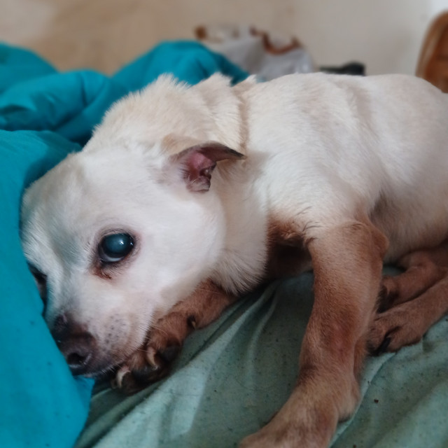 why did you do nothing as the children suffered