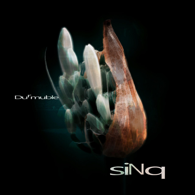 SinQ Photo