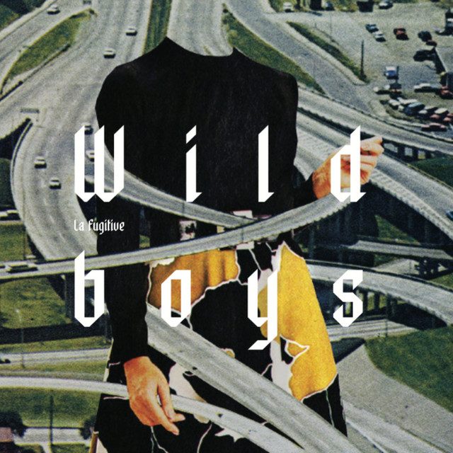 Wild Boys cover art