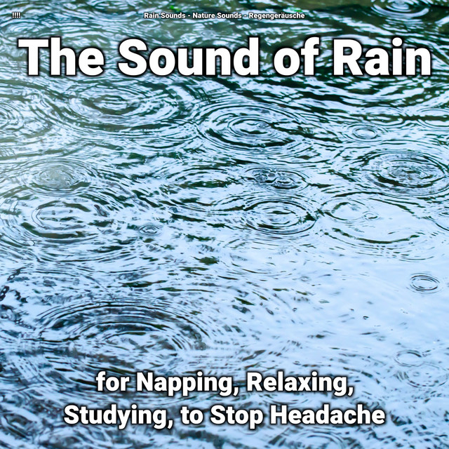 !!!! The Sound of Rain for Napping, Relaxing, Studying, to Stop Headache cover art