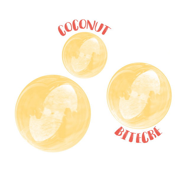 Coconut cover art