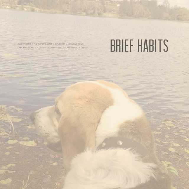 Brief Habits cover