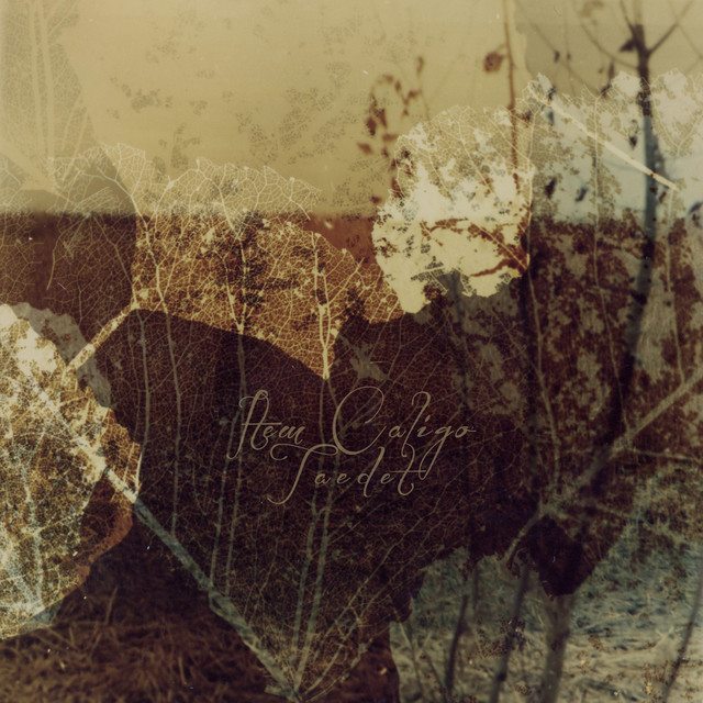 Taedet cover