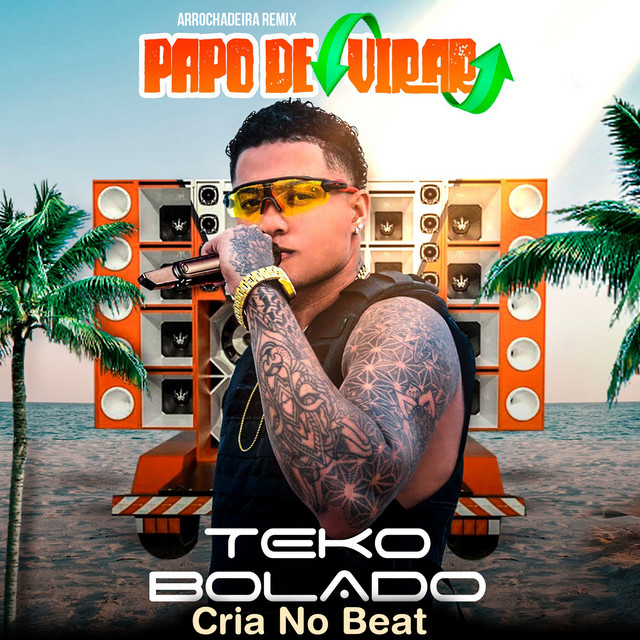 Papo de Virar (Arrochadeira Remix) cover art