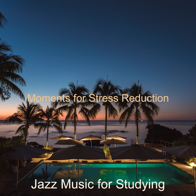 Moments for Stress Reduction cover art