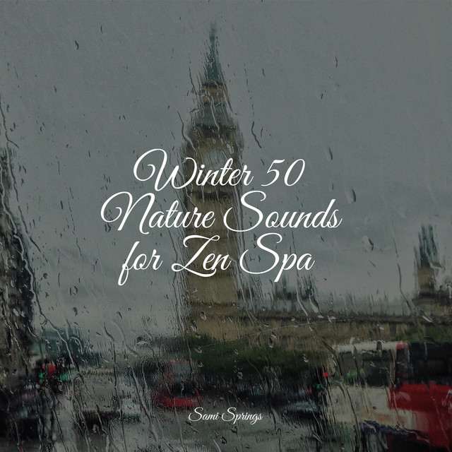 Winter 50 Nature Sounds for Zen Spa - Album by Sleepy Night Music | Spotify