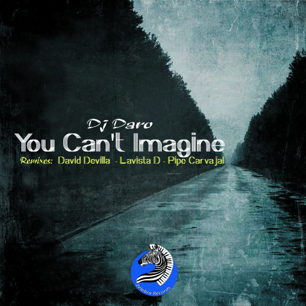 You Can't Imagine cover art