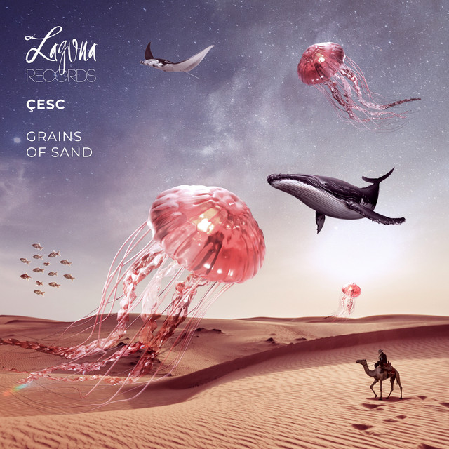 Somehow album art